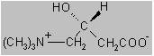Cornitor Inj levocarnitine (Carnitor) Drug Information - Guideline Central